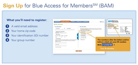 Bcbs oklahoma login. Blue Cross Blue Shield of Oklahoma - Health Insurance Oklahoma. ... Log in for a quote, to compare plans, or to apply now. Need Assistance? Talk to a BCBSOK Licensed Agent. 1-866-303-2583 Monday - Friday 8am - 5pm CST. Blue Access for Members Highlights Policyholders can view status for themselves and their dependents. 
