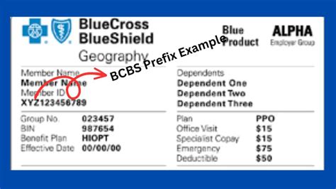 alpha prefix, as shown on the front of the card. care when provided by a non-Exclusive Provider. Blue Cross and Blue Shield of Florida is an Independent Licensee of the Blue Cross and Blue Shield Association. Possession of this card does not guarantee eligibility for benefits.. 