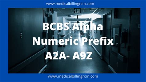 BCBS Alpha Prefix from LAA to LZZ. January 10, 2024 by Rebecca W