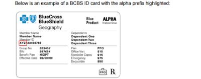 Jan 6, 2024 · BCBS Alpha Prefix from IAA to IZZ (Updated 2024) February 26, 2024 by Kim Keck. BCBS member ID prefix help medical billers, health care providers and patients to identify BCBS healthcare plan. Here we have listed down all the Blue Cross Blue Shield Prefixes along with BCBS home plan name and website for BCBS member IDs ranging from IAA to IZZ. . 
