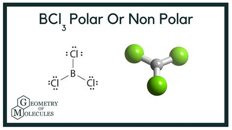 The bond in boron trichloride, BCl3, is polar covalent. ... Yes, each B-Cl bond is polar. but the molecule is having trigonal planar geometry and is a non-polar molecule.. 