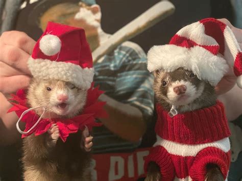 🍆 Bcnnyhana Leaked PORN