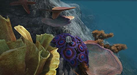 Bdo blue coral.  It can be modified using Alchemy or further Processing.  It may also ...