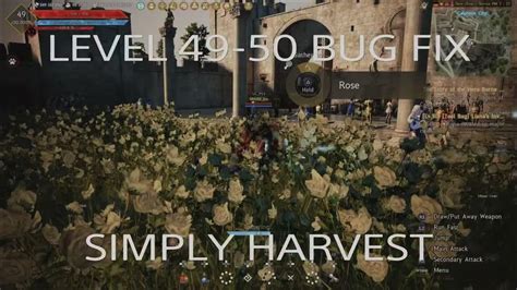 Bdo level 49 50 quest.  &ndash; Black Desert, Heart-pumping action and adventures a...