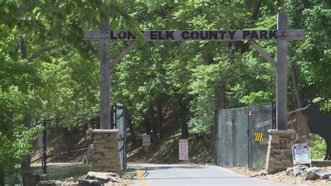 Be aware! Park rangers warn elks might attack during calving season at Lone Elk Park