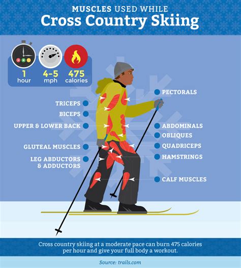 Be fit to ski the complete guide to alpine skiing fitness. - Manual del aire acondicionado portátil delonghi pinguino.
