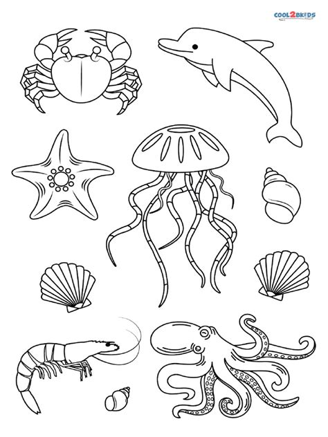 Beach Animals Coloring Pages