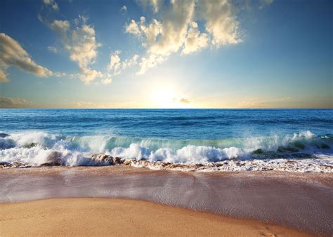 Beach and ocean. Things To Know About Beach and ocean. 