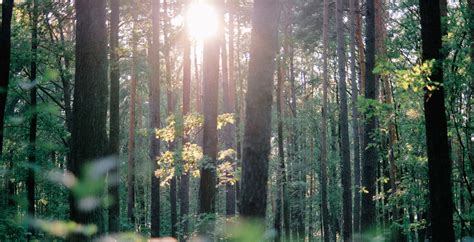 Beach funeral services photos.  With a commitment to honoring lives, w...