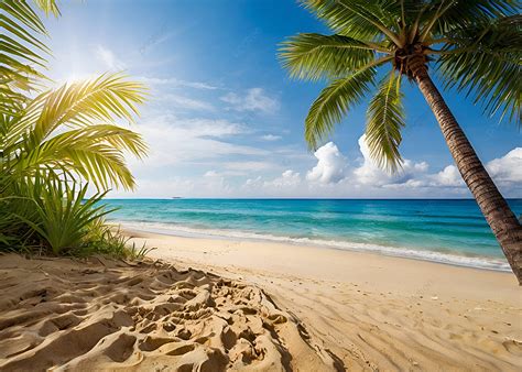 Beach thumbnails.  Thousands of new images every day Completely Free to Use High-qu...
