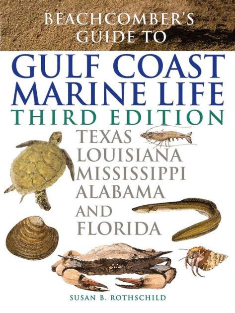 Beachcomber s guide to florida marine life. - Sony lcd tv klv 30mr1 service manual download.
