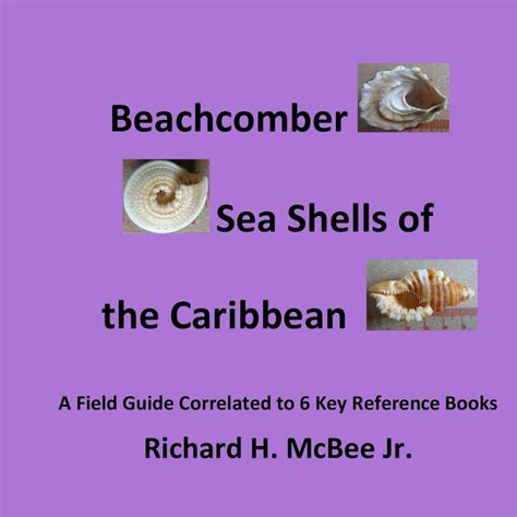Read Online Beachcomber Seashells Of The Caribbean A Field Guide Correlated To 6 Key Reference Books By Richard Mcbee