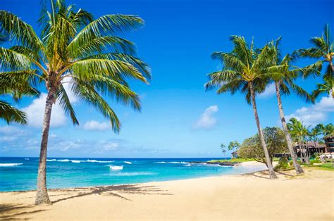 Beaches in hawaii. 1. Waikiki Beach, Oahu. Oahu's Waikiki Beach (photo: AussieActive) Waikiki means “spouting waters” in Hawaiian, and it was once a playground for Hawaiian royalty. … 