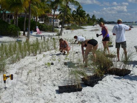 Beachscape demonstration conducted on shoreline