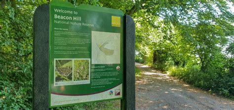 Beacon hill park picnic tables.  Type Viewpoint Location Beacon Hill Special Features Vi...