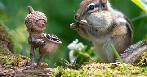 Beacorn Onlyfans Leaked +18 🍆 88 Videos