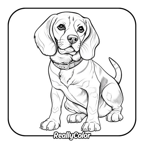 Beagle Coloring Shee