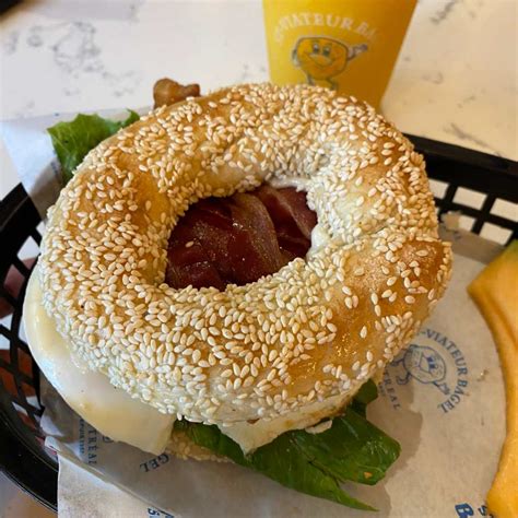 Beagle montreal. .  ...