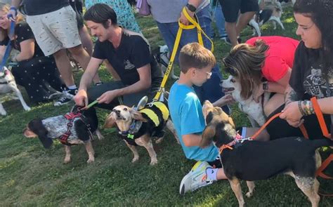 Beaglefest Spring 2024 – New Carrollton, MD. New Carrollton Dog Park 6318 Westbrook Dr., New Carrollton, MD, United States. Click on flyer for information about our Spring 2024 Beaglefest. May 2024. Sat 11. Featured May 11 @ 12:00 pm - 3:00 pm.. 