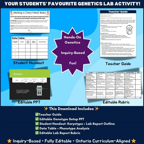 Beaker baby lab.  Explore genetics with this engaging lab activity! Simulate inheritance, de...