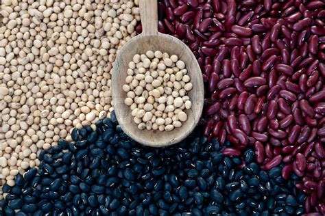 Bean stocks. Things To Know About Bean stocks. 