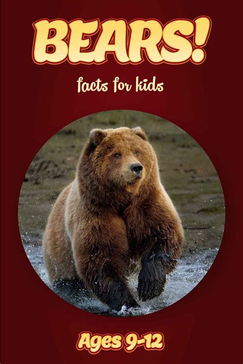 Bear Books Outlet @ Amazon.com: