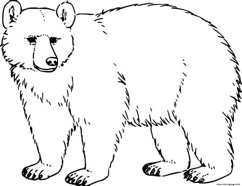 Bear Coloring Pages PDF ColoringFile