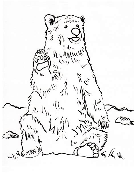 Coloring Sheet Star