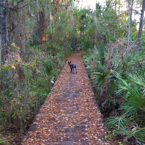 Bear Pond Trailhead (Sorrento) - All You Need to …