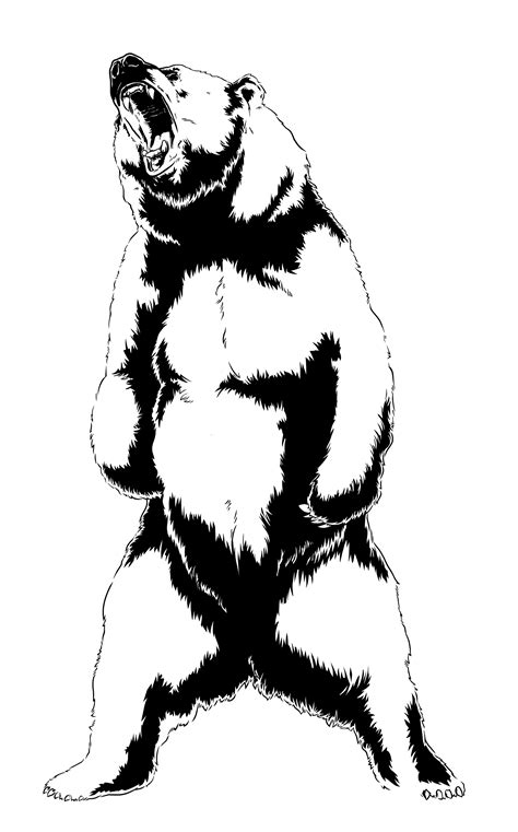 Bear Standing Drawing