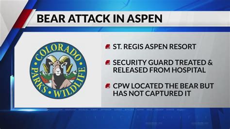 Bear attacks security guard at Aspen hotel