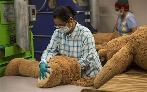 Bear factory. The Bear Gallery, Gampola. 156 likes. "The Bear Gallery" is a Sri Lankan Soft Toy Brand that owns by Saru Exports Pvt Ltd since 1993 