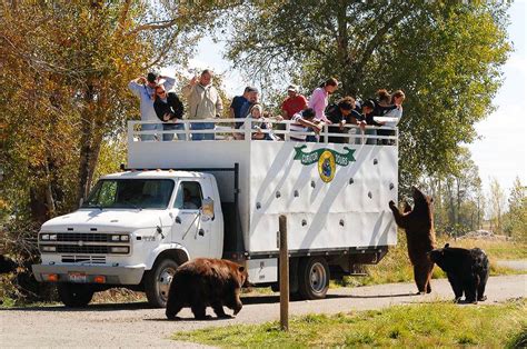 Bear world idaho. About Yellowstone Bear World. No vacation to the Yellowstone National Park or Grand Teton National Park region is complete without an adventure into the wild at Yellowstone Bear … 