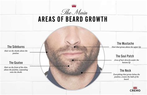 Beard Growth Tips to Speed Up the Process