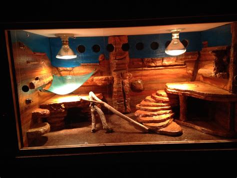 Bearded dragon tank decor. Things To Know About Bearded dragon tank decor. 