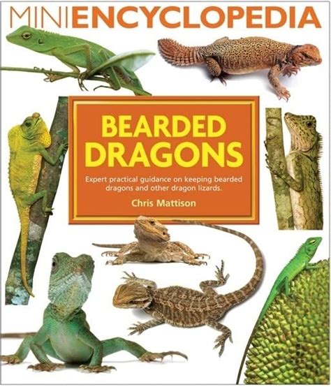 Read Online Bearded Dragons By Christopher Mattison
