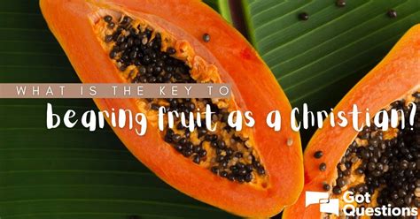 Bearing Fruit: Meaning, Strategies, and Success Stories