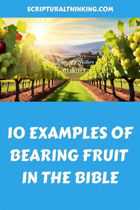 Bearing Fruit Scripture: A Guide to Christian Growth