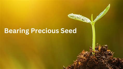 Bearing Precious Seed: A Guide to Cultivating Success