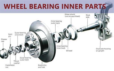 Bearing Rear Hub: The Ultimate Guide to Choosing and Maintaining