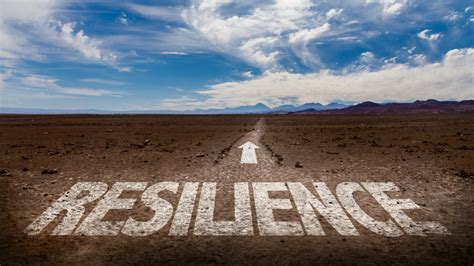 Bearing Up in the Face of Adversity: Resilient Strategies for Business Success