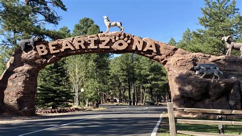 Bearizona williams az. Location & Contact. 235 N. Grand Canyon Blvd. Williams, AZ 86046. Toll Free (800) 843-8724 Local (928) 635-4010. Stay at the premiere Grand Canyon hotel in the region at the newly refurbished Grand Canyon Railway Hotel. Located next to the train depot and a block away from downtown Williams and historic Route 66. 