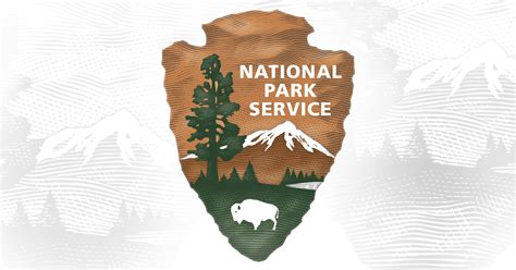 Bears (U.S. National Park Service)