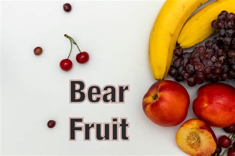 Bears fruit. 2 Answers. Hello Charlesetta! Bare and bear are homophones – that is, they sound the same – but have very different meanings. Where it is often misused for bare is when it is used as a verb. The verb bear relates to carrying or supporting whereas the verb bare means ‘to uncover (a part of the body or other thing) and expose it to view’. 