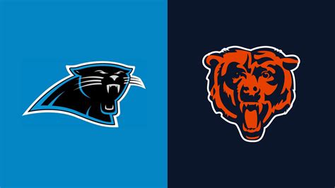 Bears panthers. Things To Know About Bears panthers. 