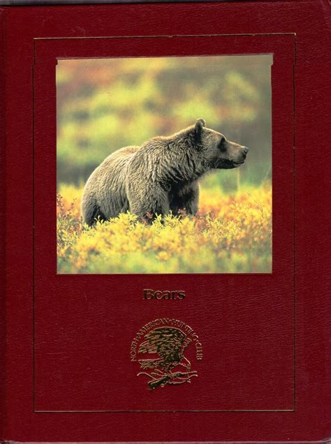 Read Online Bears Behavior Ecology Conservation By Erwin A Bauer