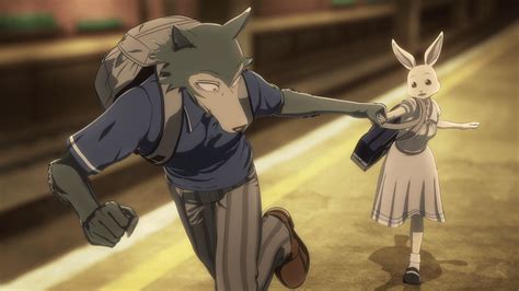 Beastars season 2. Sep 20, 2021 · In Season 2 of Beastars, Legoshi undergoes a drastic change to gain vengeance for Tem's murder after realizing the bear, Riz, is the one behind it. It hurts deeply as Riz was a friend to all, but Legoshi's story and training with Gouhin intertwines with Louis as the deer takes over the Shishigumi , losing himself to the darkness of the lion ... 