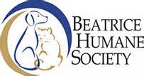 Beatrice humane society. The Beatrice Humane Society encourages the participation of people who wish to support our mission statement and core values. New volunteers must be willing to commit to a … 