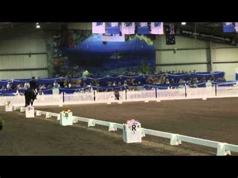 Beautiful Friesian Stallion Dancing - Grand Prix - YouTube