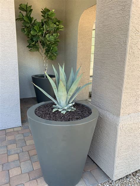 Beautiful Quality Fiberglass Planters - Sonoran Stonecrete